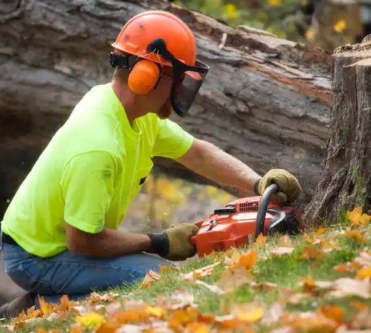 tree services Crescent Springs